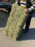 baloti de lucerna+ transport