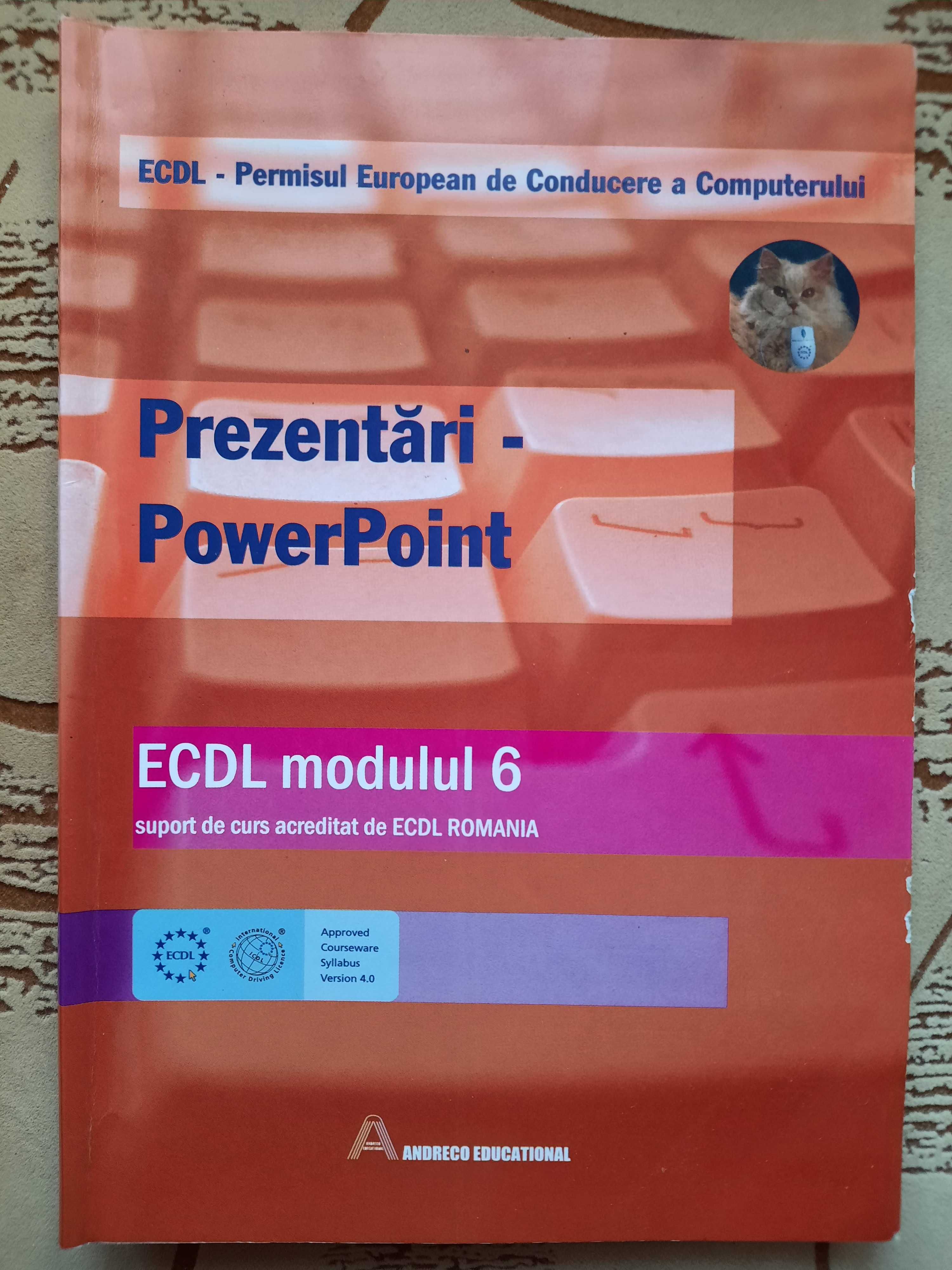 Manual ECDL Calcul tabelar - Microsoft Excel, Manual ECDL Baze de date