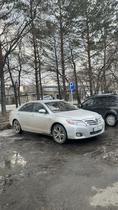 обмен на лошадей