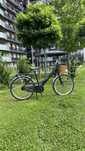 Bicicletă de oraș pentru femei – model olandez, 7 viteze, coș împletit