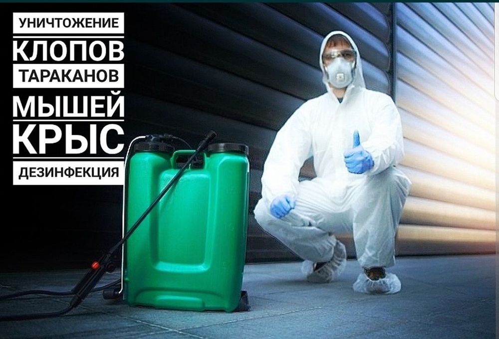 Дезинфекция / тараканы / клопы / кандала / муравьй / насекомые