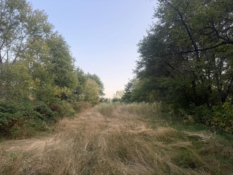 Teren intravilan Voinesti/Leresti 1700 mp