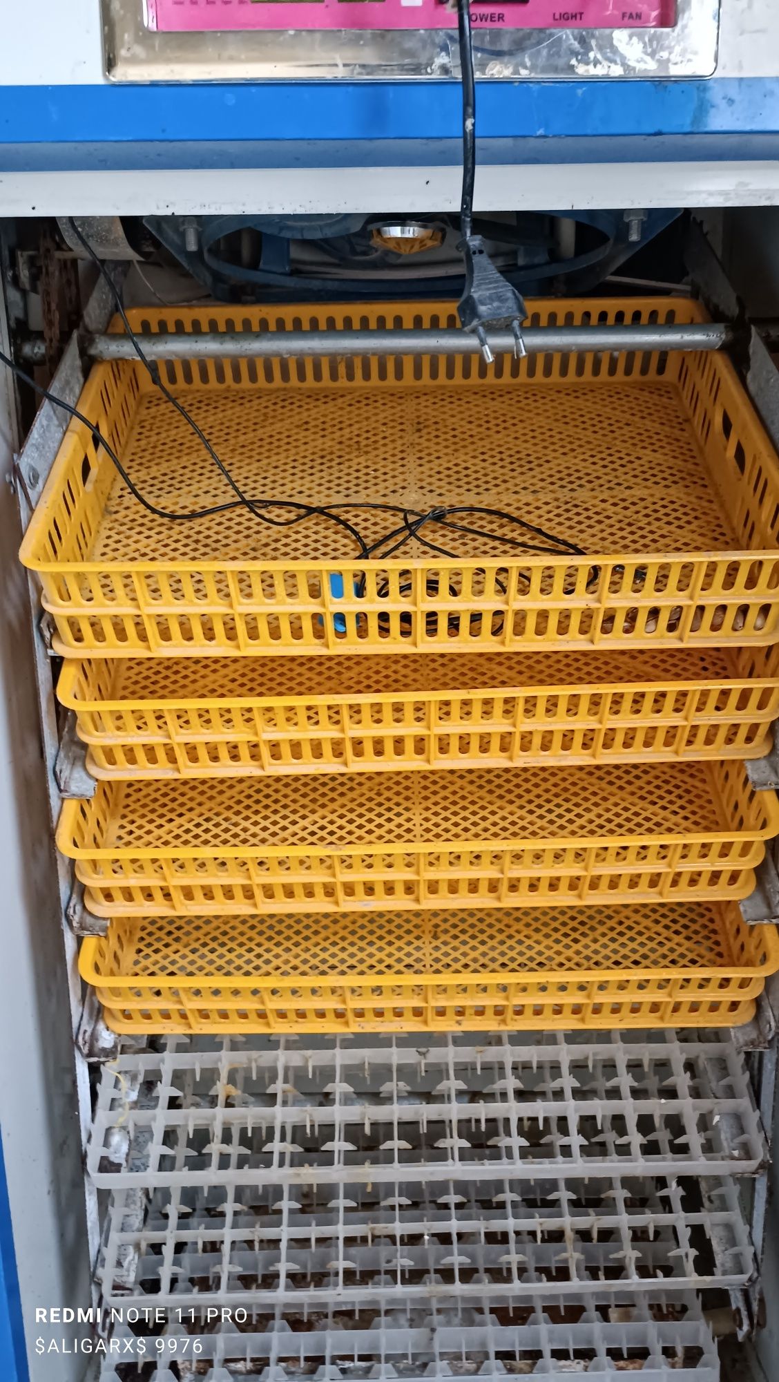 Joʻja chiqaradigan Inkubator aparat