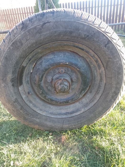 De vânzare 2 butuci!