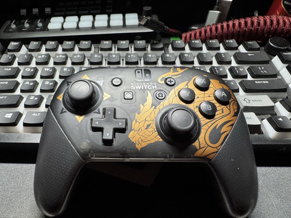 Nintendo Pro controller