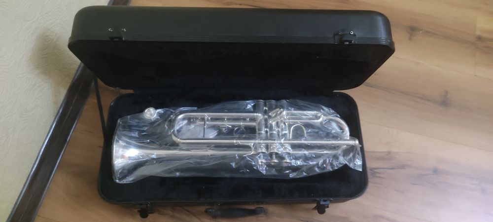 Флейта серебряная