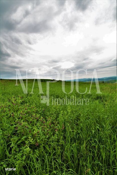 Teren extravilan pentru constructii de vanzare in Popesti