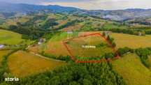 Comision 0 %/Teren intravilan 11.600mp Poiana Marului / Natura/Poveste