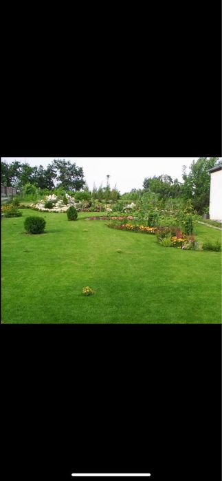 Amenajari gradini , plante ornamentale