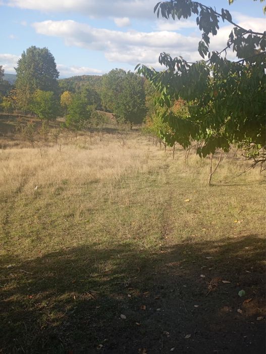 Teren Intravilan de Vânzare – 2.200 mp Goranu, Râmnicu Vâlcea