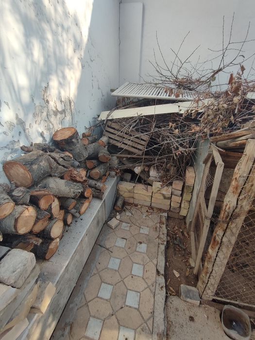 otinlar sotiladi bepul