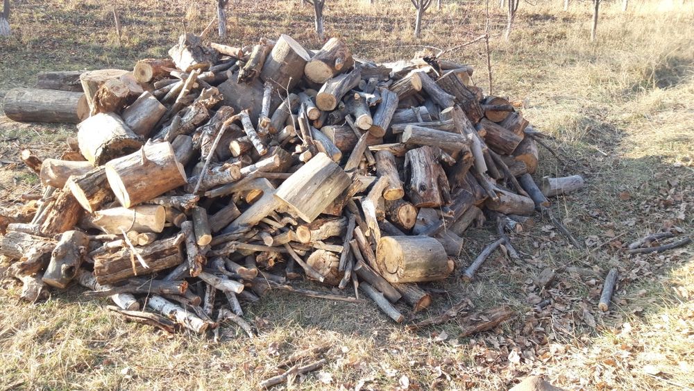Продам дрова  пиленые сухие