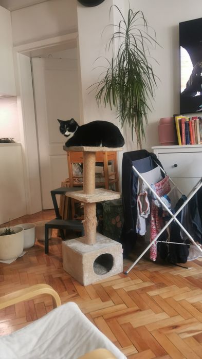 Катерушка къща легло за котка драскалка котки