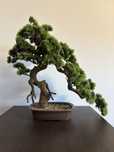 Bonsai artificial in ghiveci (Mobexpert)
