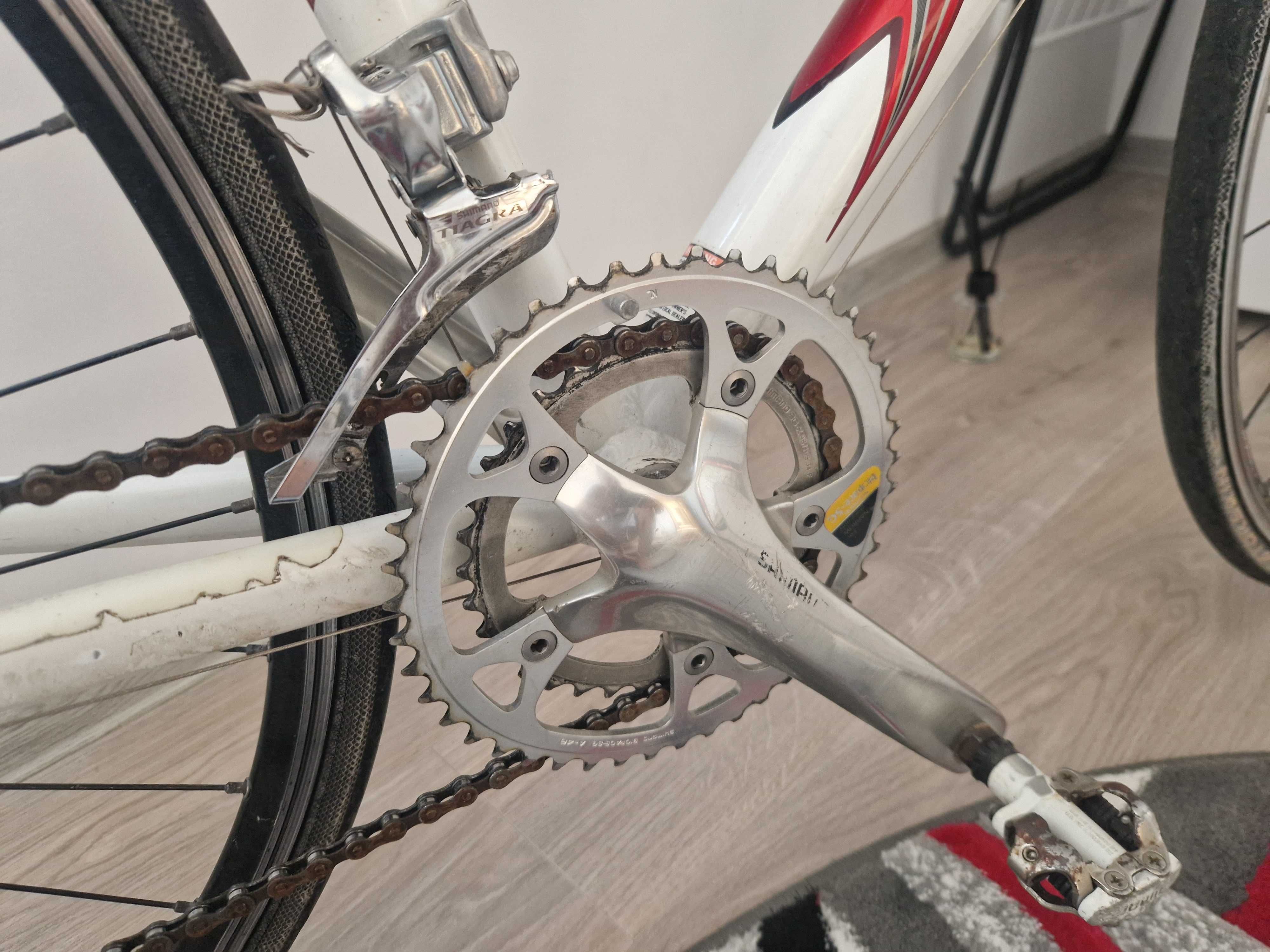 Cursiera trek 28r L