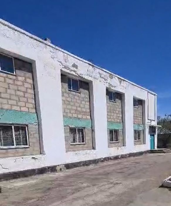 Овцы.баран.Кои-обмен на магазин.