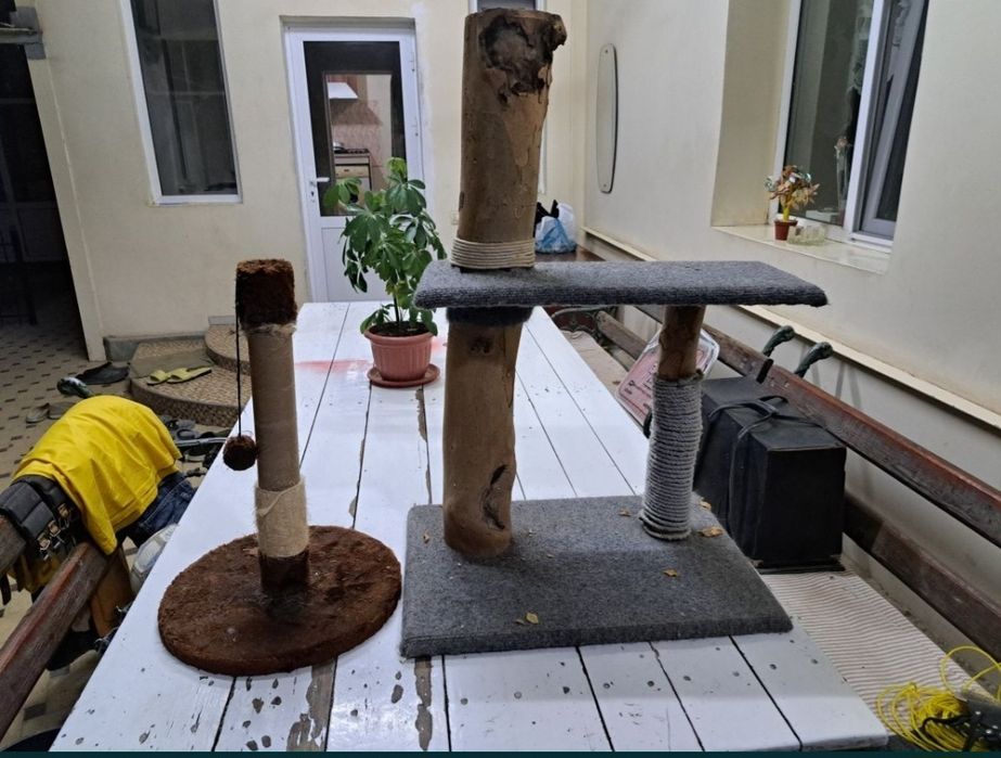 Две когтеточки для кошек