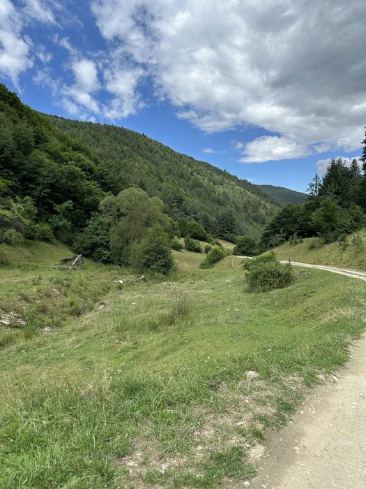 Vand 8534 mp teren in Rasinari Valea Stezii  (Valea Strambului)
