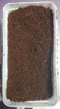 Кокосова почва / подложка, субстракт / и калций - за охлюви