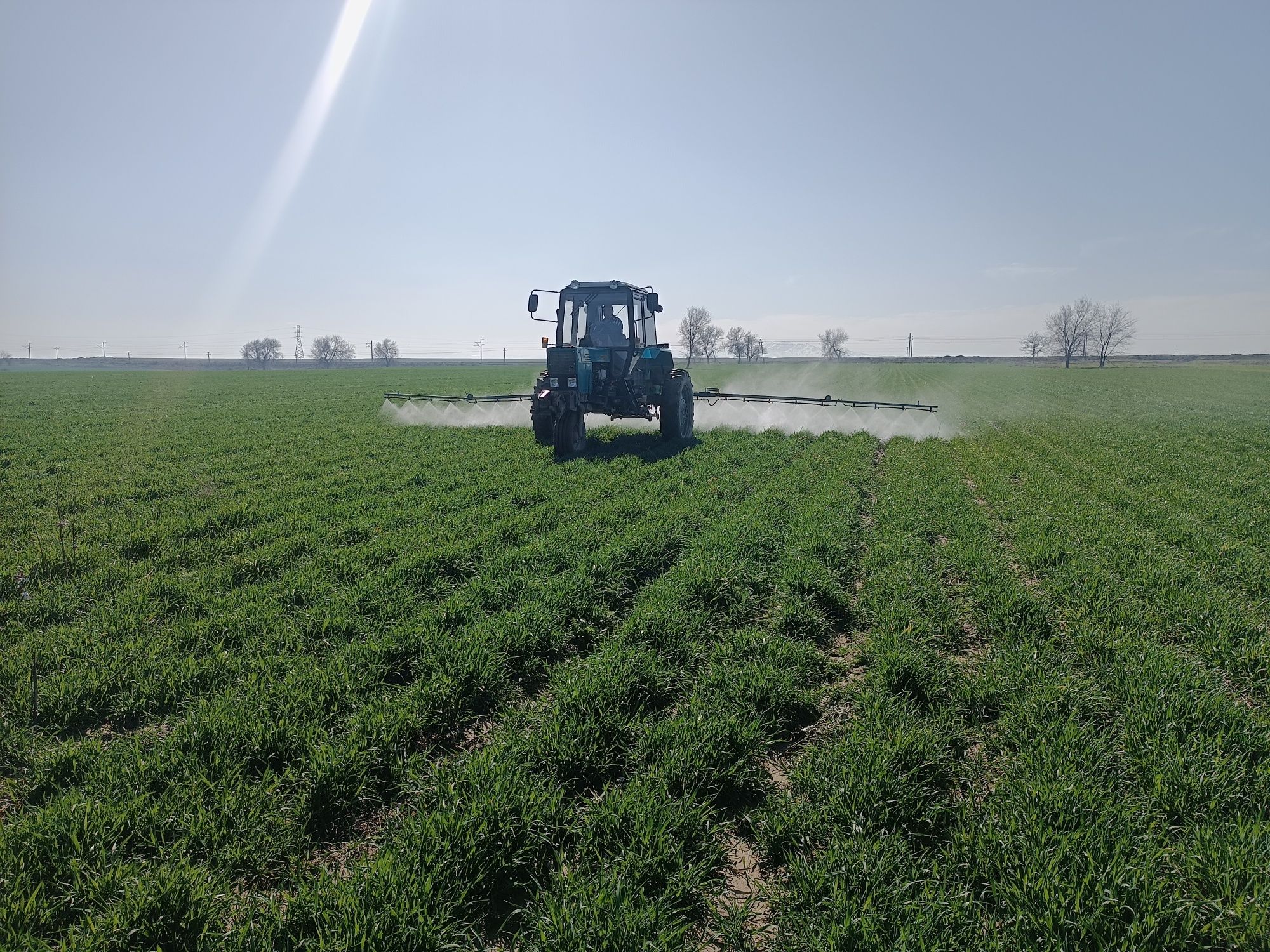 Traktor belarus 80x