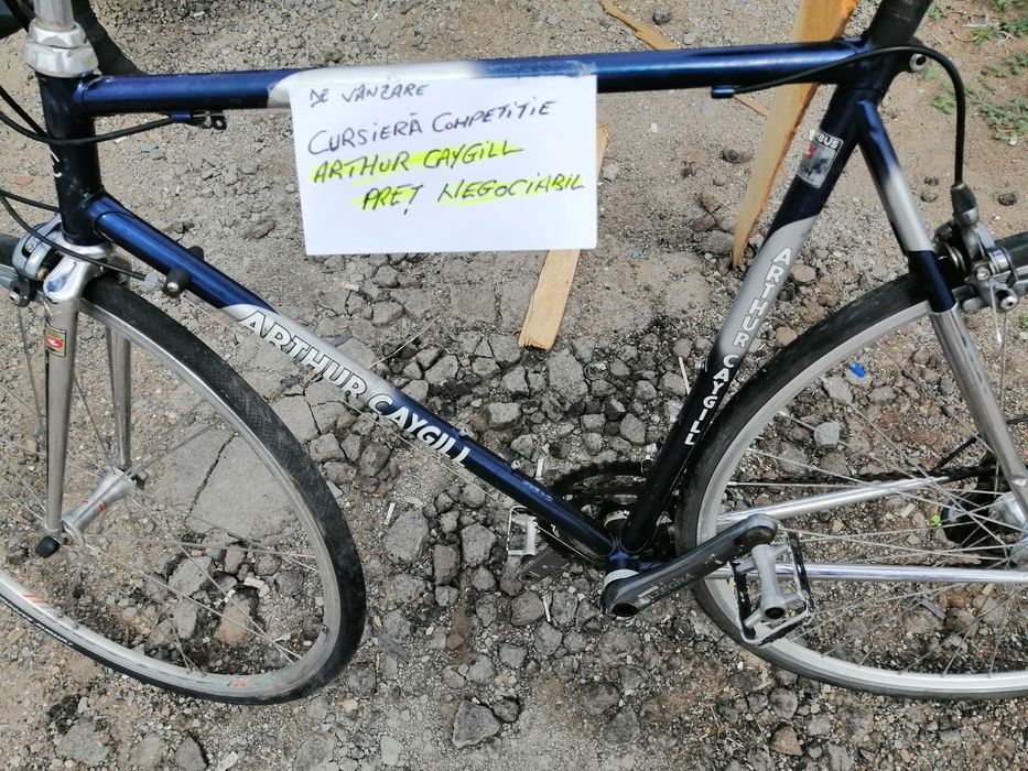 Cursiera Competiție ARTUR CAYGILL