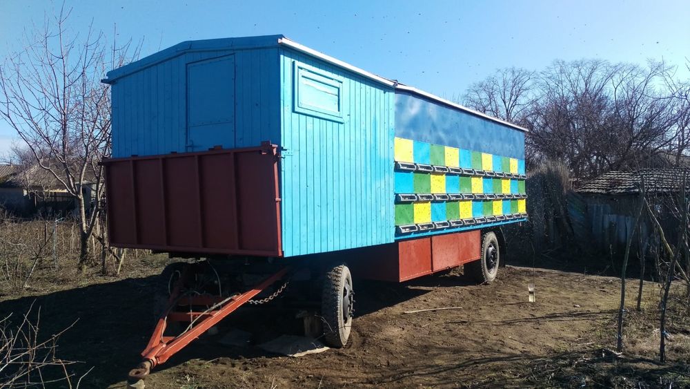 PAVILION APICOL, fără albine