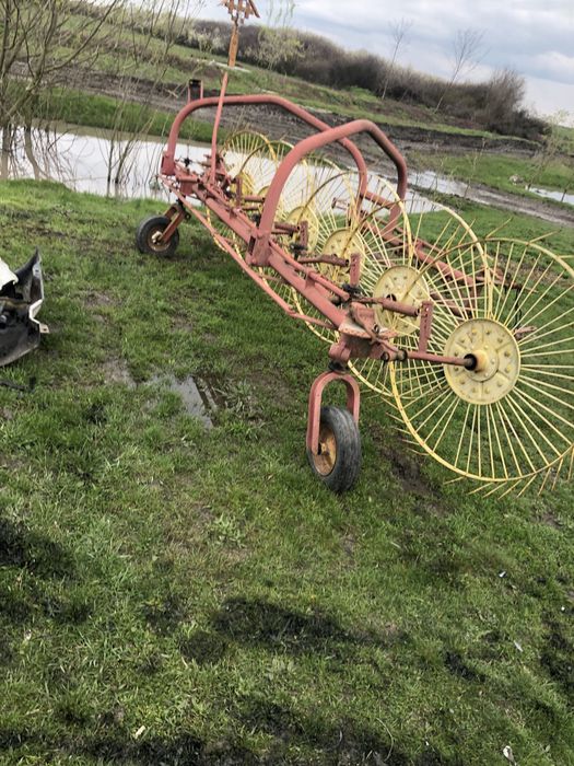 Grebla raza soarelui