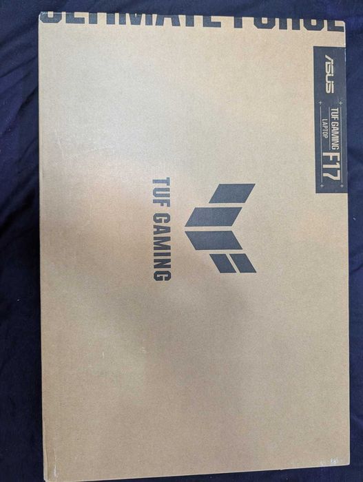 Laptop ASUS Gaming TUF F17 FX707VV