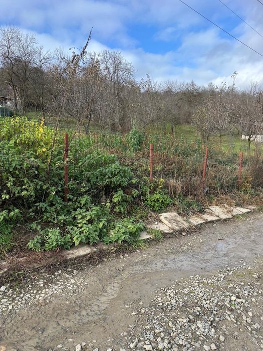 Teren de vanzare in Suceagu