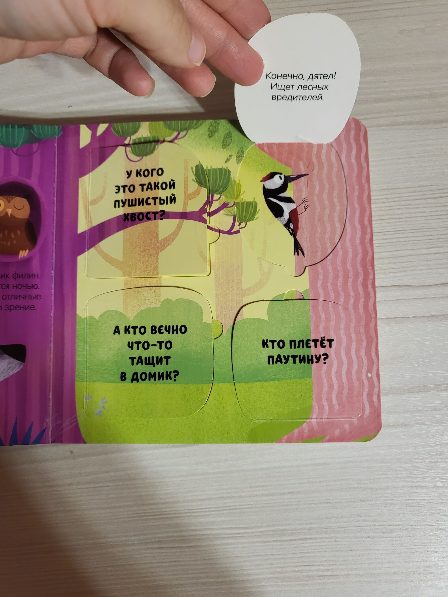Детская книжка с окошками
