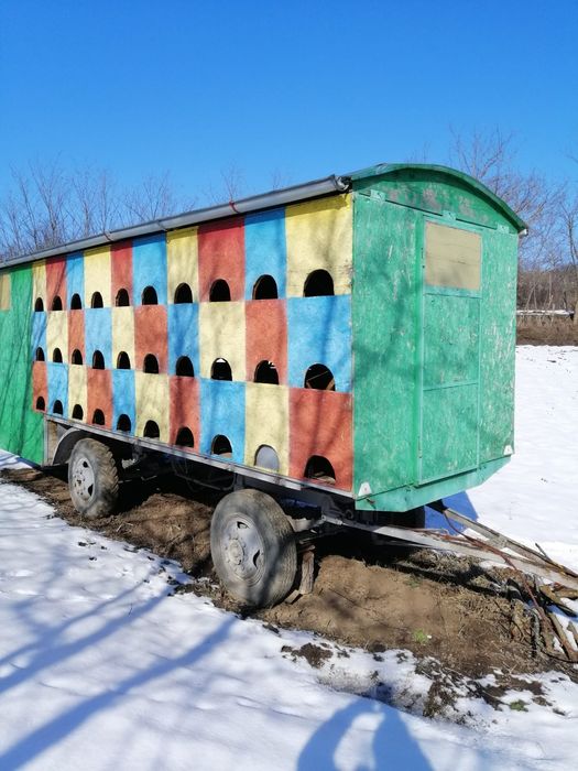 Vagon apicol 60 familii