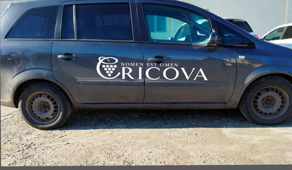 Opel Zafira 1.6 benzina 2009