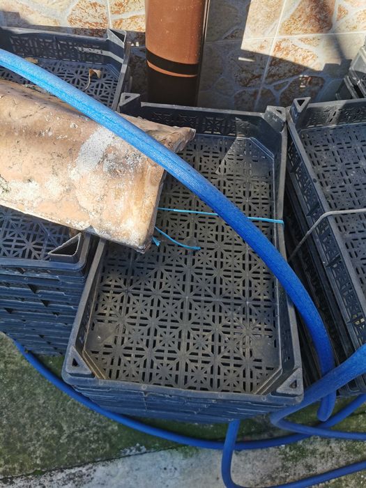 Пластмасови щайги за ягоди