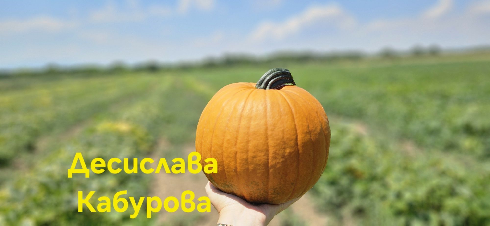 Декоративни тикви Хелуйнки-жълти