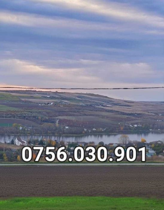 OCAZIE! Teren Intravilan 2000 mp, Aroneanu - Vedere Panoramică la Lac!