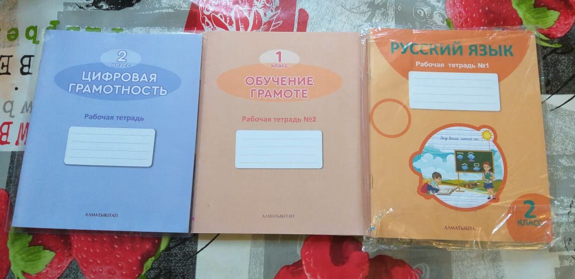Школьные пеналы и рабочие тетради 2класс