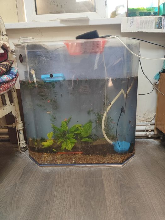 Акриловы аквариум