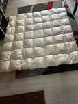 Pilota Billerbeck Exclusive 200/200