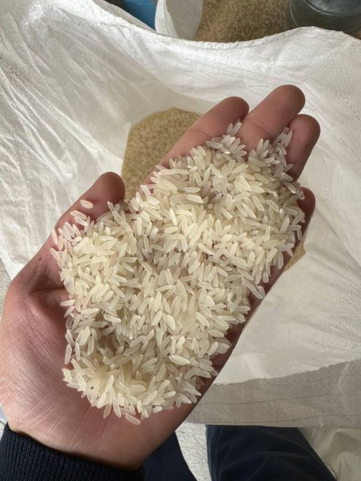 Лазер Курш  рис лазер