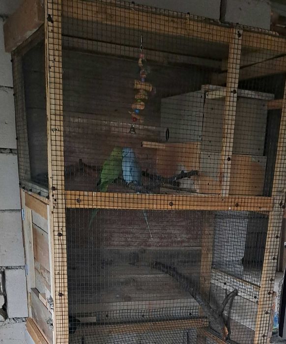 Vand pereche de Micul Alexander