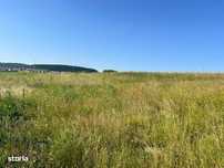 Teren intravilan 2.900mp front la strada 18m zona Chinteni lac