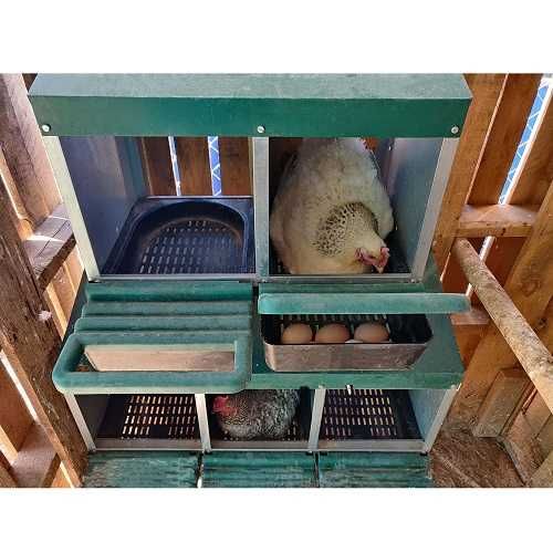 Метално Гнездо за кокошки автоматично тройно #39501 Безплатна доставка