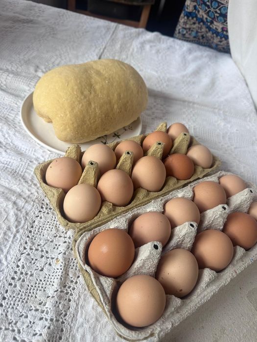 Vând oua de  găini crescute la sol