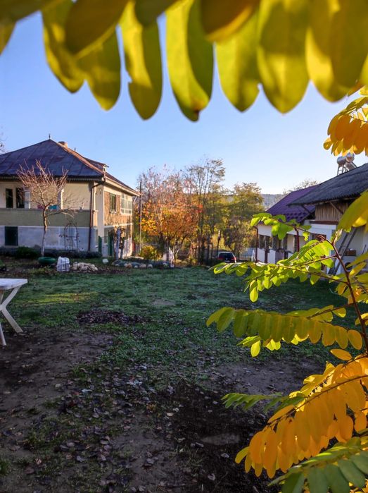 Două case cu mult teren