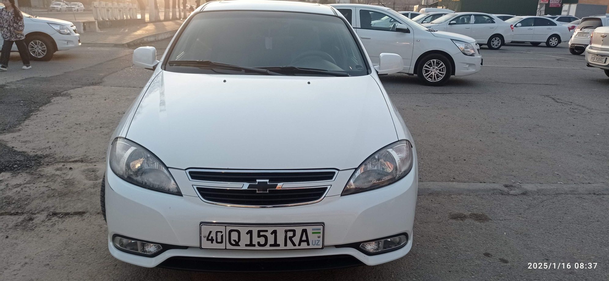 Lasetti, 2019 й. 3 позиция