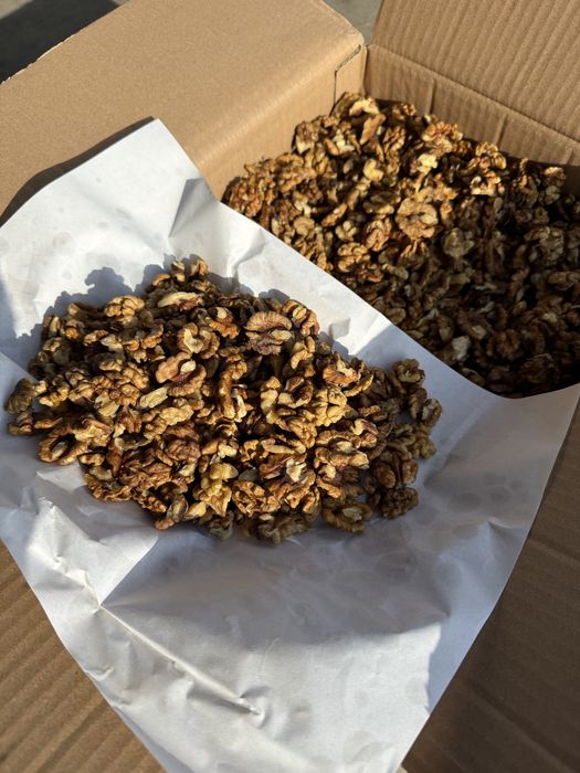 Miez de Nuca Maro, cafeniu, Pasha & Walnuts