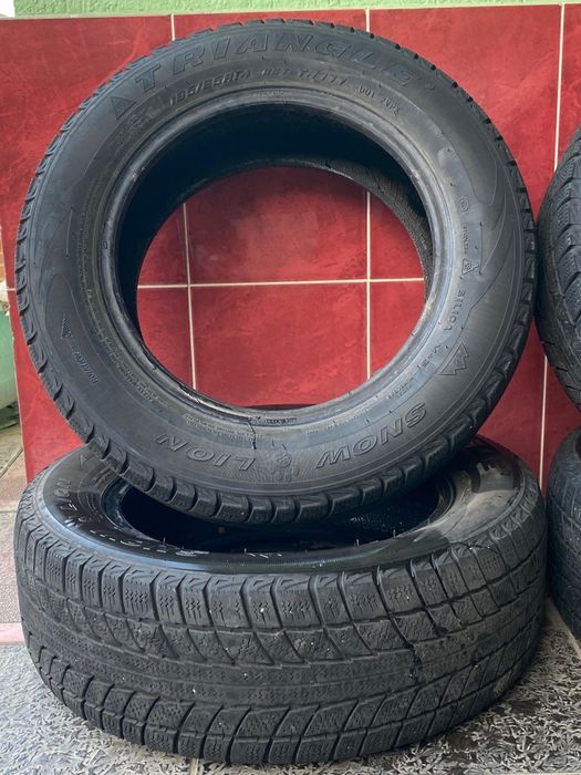 Зимние шины Triangle