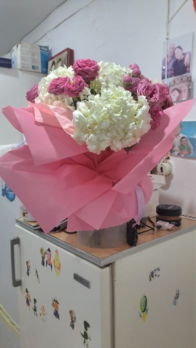 Гүлдер Гортензия цветы