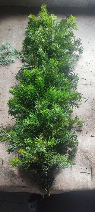 Ghirlanda brad natural