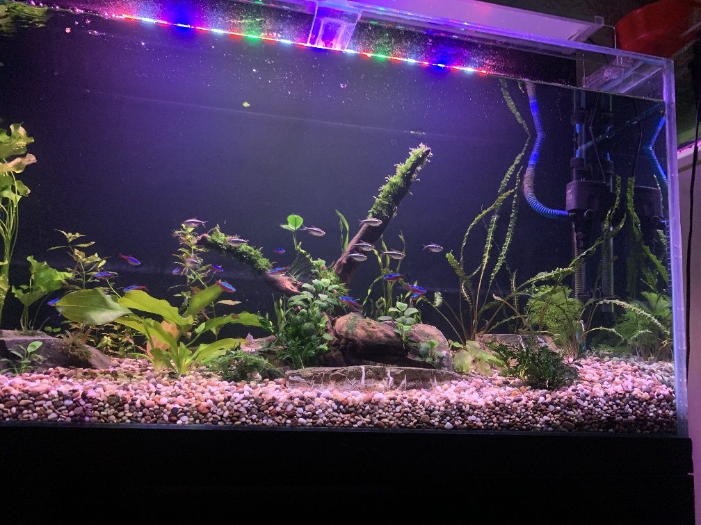 Akvarium 110x60x37.   10mm